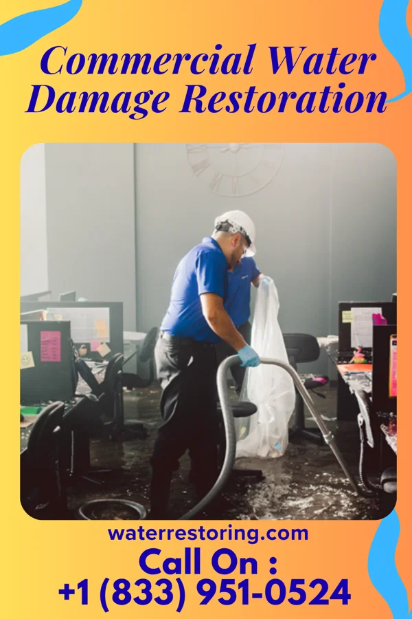 Commercial Water Damage Restoration in Sarepta, LA