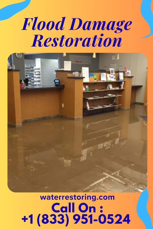 Flood Damage Restoration in Sarepta, LA