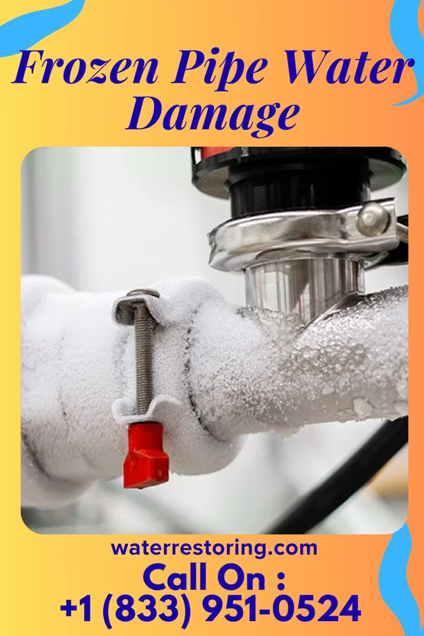 Frozen Pipe Water Damage in Sarepta, LA